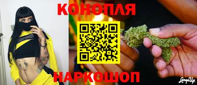 эйфоретик Пугачёв