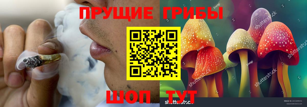 Псилоцибиновые грибы Cubensis Спасск-Дальний